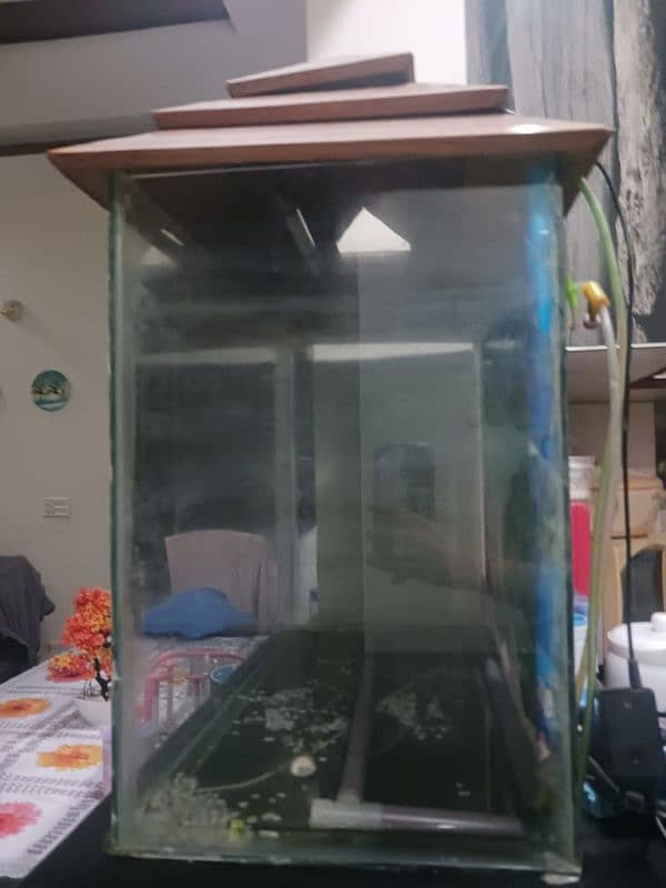 aquarium for sale 1