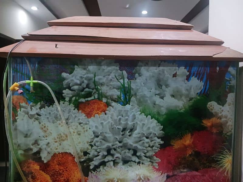 aquarium for sale 2