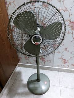 Asia fan