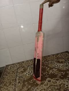 Cricket bat