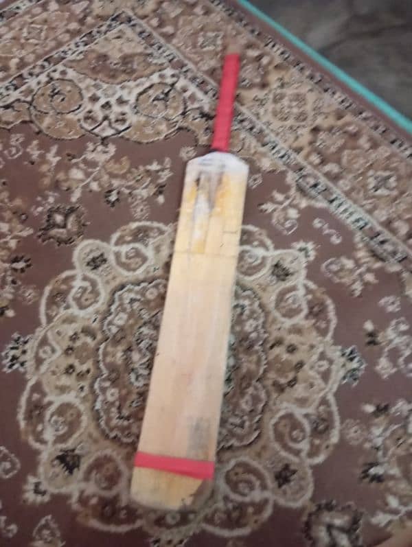 Cricket bat 1