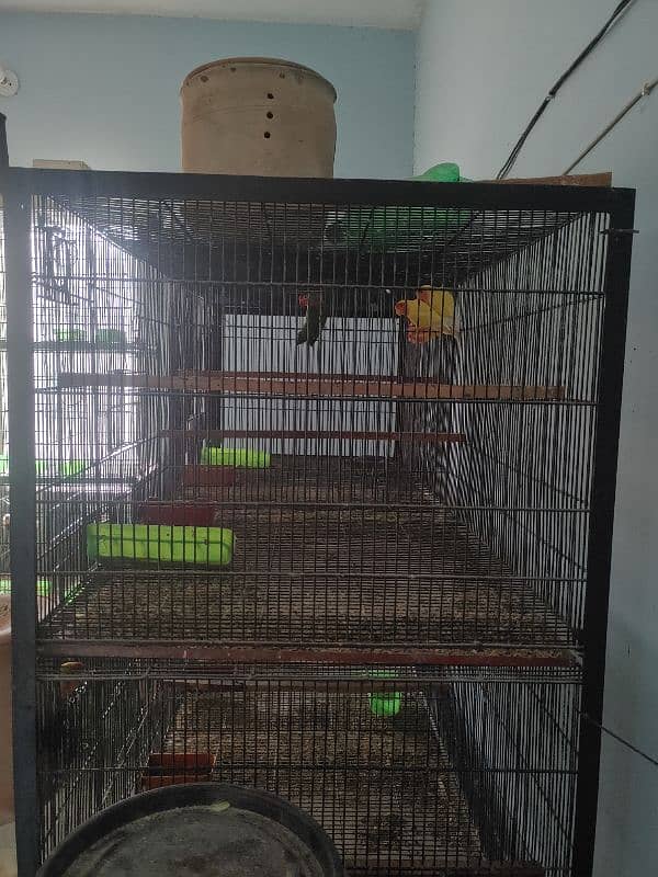 1.5 feet by 6 feet angle full heavy cage box option read add 0