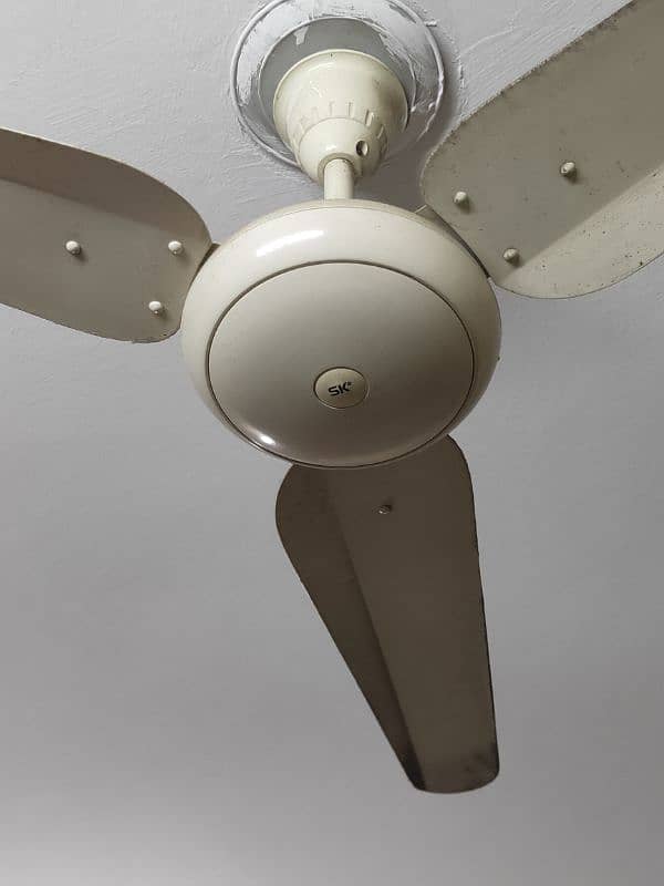 seiling fan 1