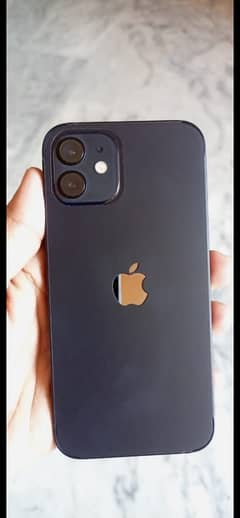 iPhone 12 0