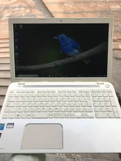 Toshiba Satellite Dynabook L50-A