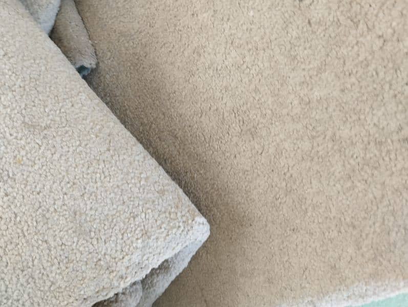 light brown carpet for sale 1