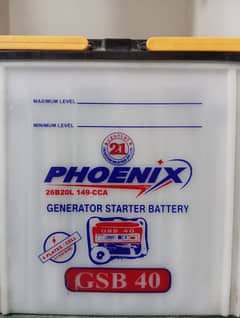 phonics battery 12 volt