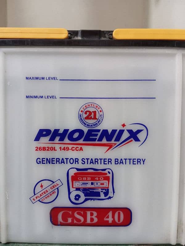 phonics battery 12 volt 0