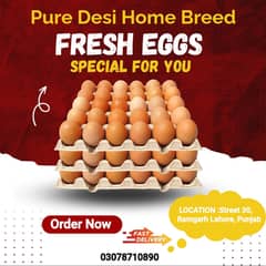 Desi Home Eggs contact 03078710890