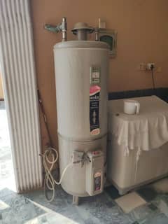 2 Gyser for sale