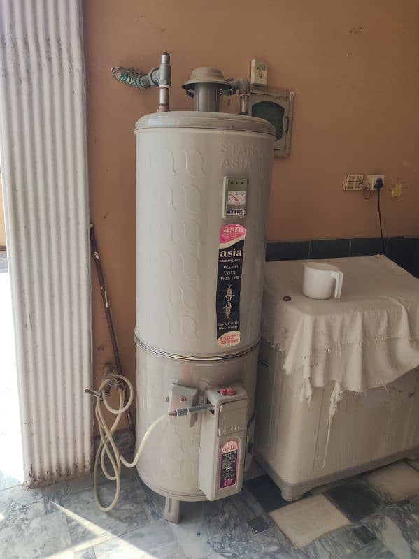 2 Gyser for sale 1