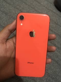 iPhone xr