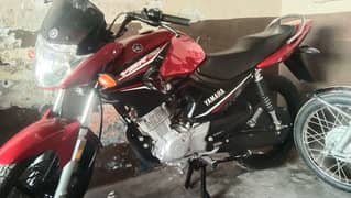 Yamaha YBR125 model 2024 Zero Condition