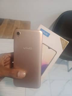 Vivo