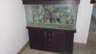 Fish aquarium 4.2 ft