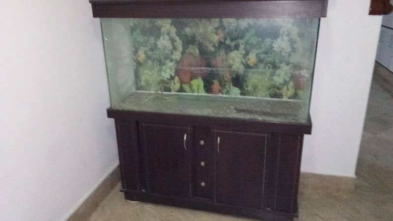 Fish aquarium 4.2 ft 0