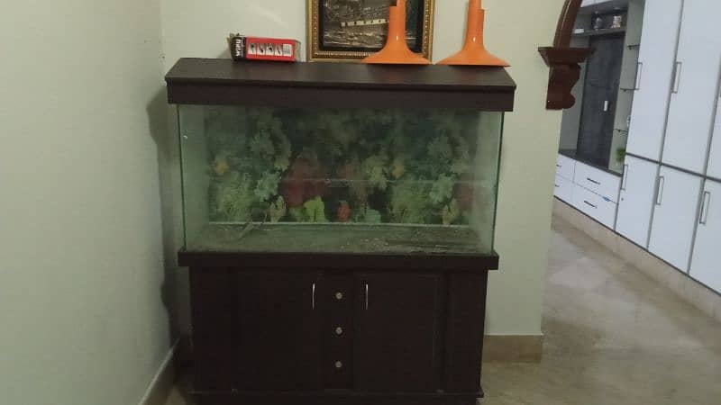 Fish aquarium 4.2 ft 1