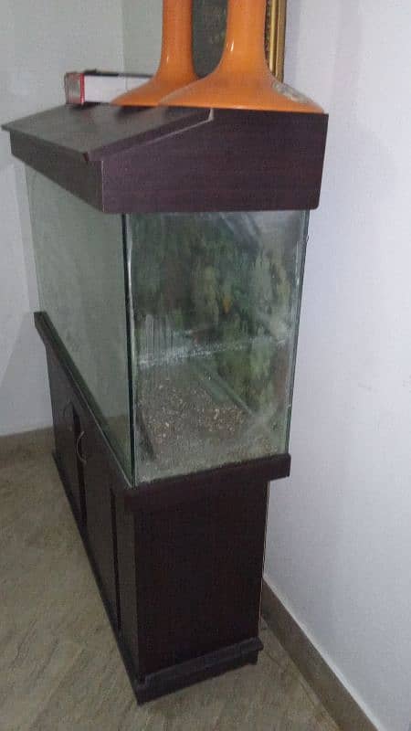 Fish aquarium 4.2 ft 4