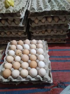 Pure Desi Eggs Available for Hole Sale Rate 0