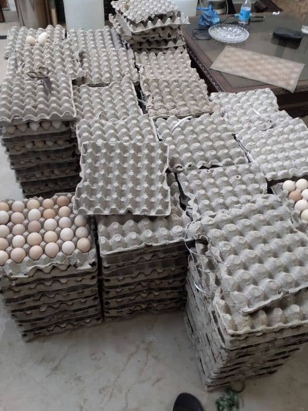 Pure Desi Eggs Available for Hole Sale Rate 1