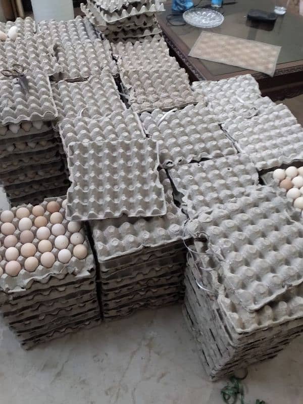 Pure Desi Eggs Available for Hole Sale Rate 2