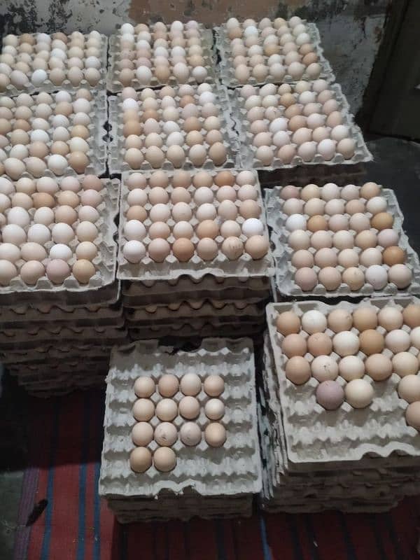 Pure Desi Eggs Available for Hole Sale Rate 3