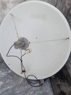 Dish