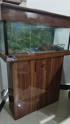 aquarium for sale