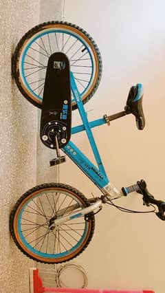 MAILEDI BICYCLE