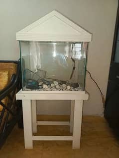 Fish Aquarium | Aquarium | fish tank | Fish Aquarium with wooden stand 0