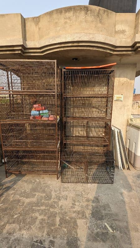 Birds Cage's size 3ft/1.5ft 3Cage Available. . 0