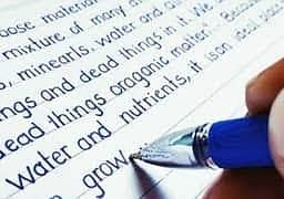 Professional English and Urdu Assignment writer in low cost. writer 10