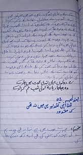 Professional English and Urdu Assignment writer in low cost. writer 12