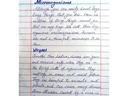 Professional English and Urdu Assignment writer in low cost. writer 16