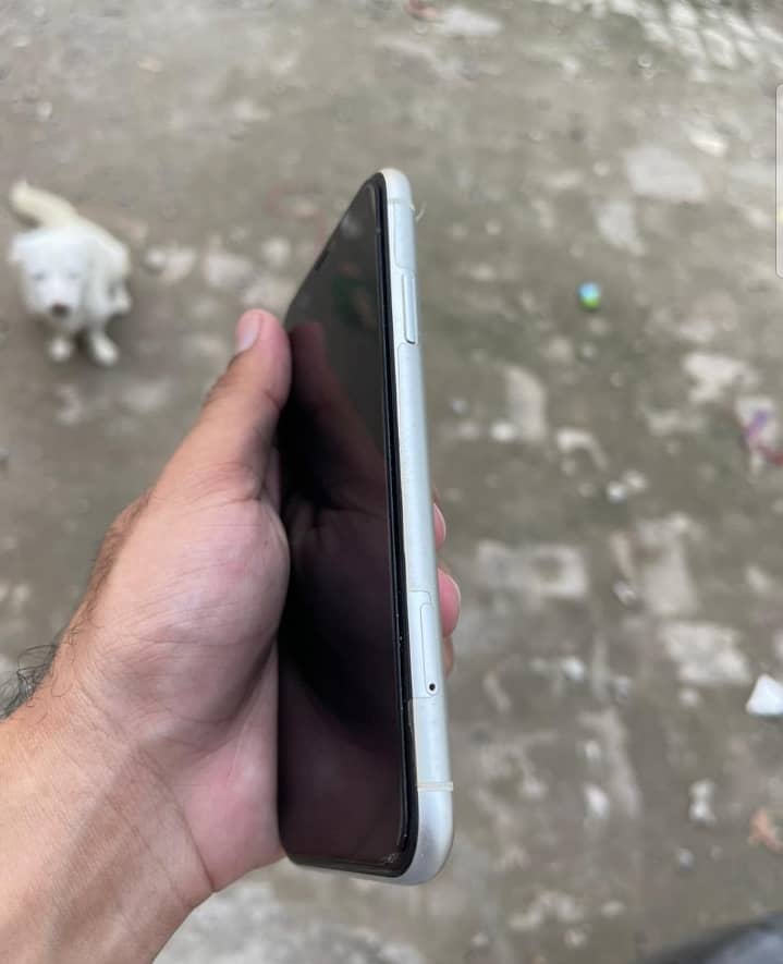 Iphone 11pta approved 1