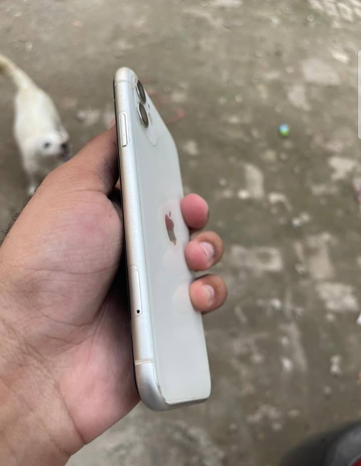 Iphone 11pta approved 3