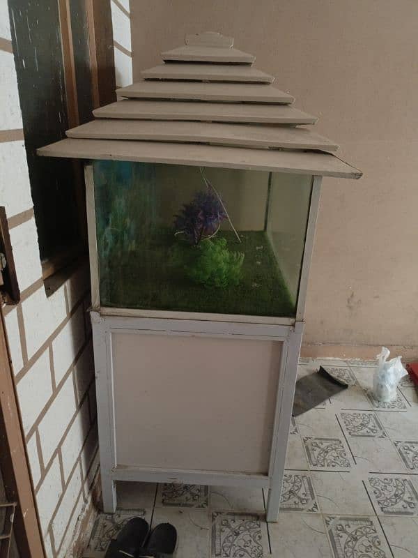 water tank for fishes 1