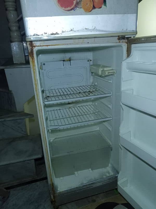 Pel Refrigerator 5