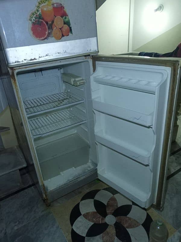 Pel Refrigerator 6