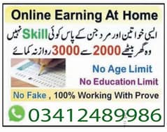 Online job available, Typing/Assignment/Data Entry/Ad posting etc 0