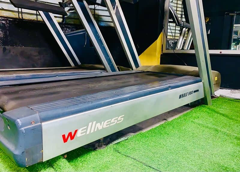 Wellness Treadmill 2