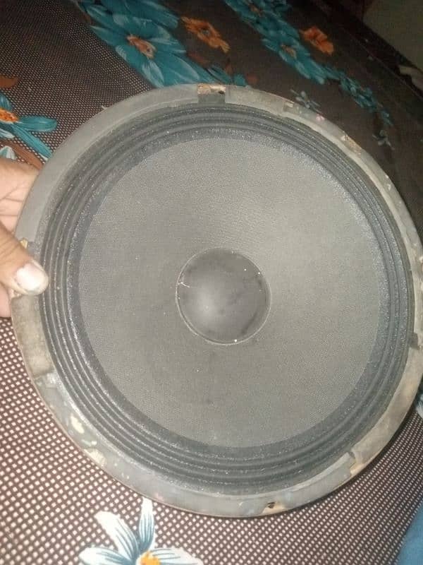 12" speaker good clear sound 1