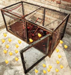 Chick Cage With Oil paint