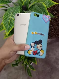 vivo