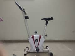 Exercise Cycle