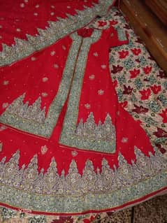 BRIDAL SHARARAY OF BARAT AND WALIMA