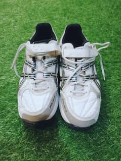 Asics spikes cricket shoes 0