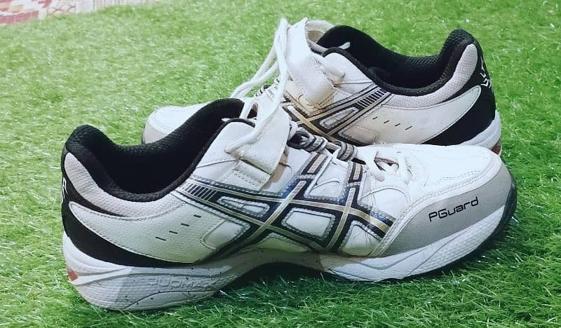 Asics spikes cricket shoes 2