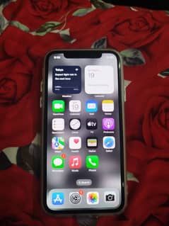 apple iPhone X's 256 GB full lush 0