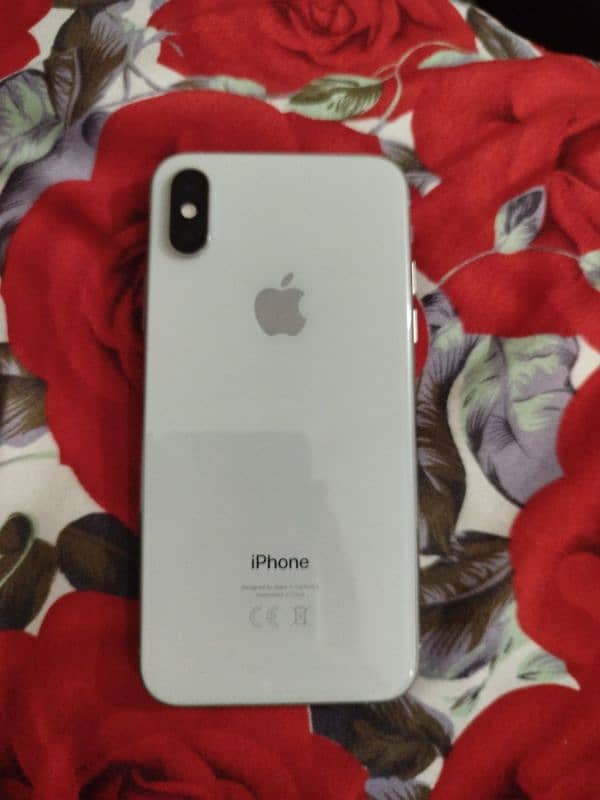 apple iPhone X's 256 GB full lush 1